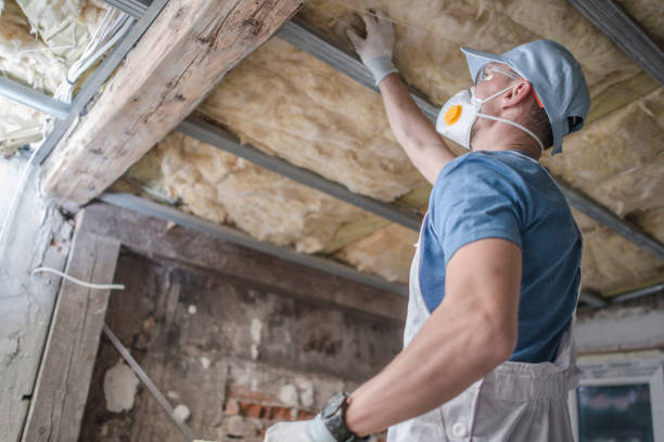 Best Insulation Maintenance and Repair in Sabetha, KS